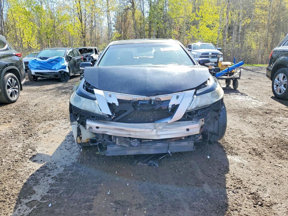Продаж на аукціоні авто 2011 Acura Tl, vin: 19UUA9F54BA800207, номер лоту: 53338616