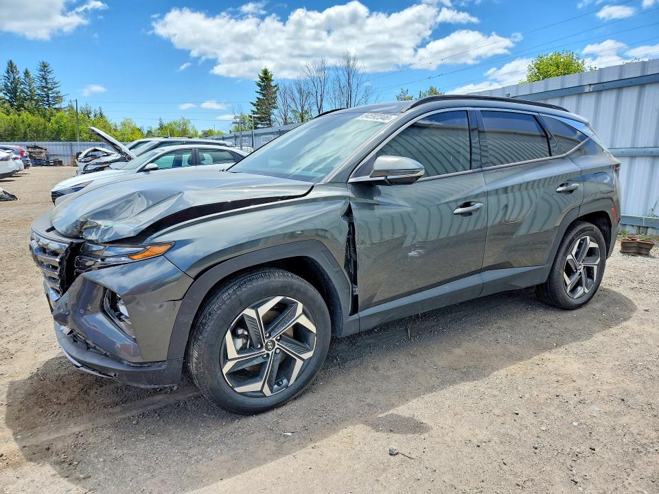 Продажа на аукционе авто 2024 Hyundai Tucson, vin: KM8JCCD11RU195592, номер лота: 54592346