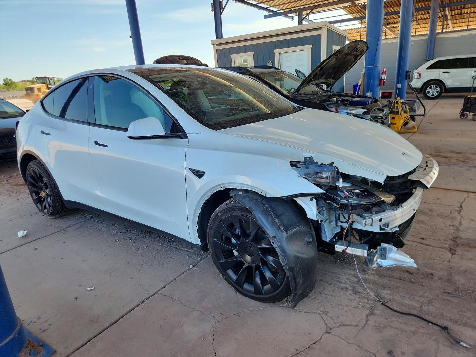 Aukcja sprzedaży 2023 Tesla Model Y, vin: 7SAYGDEE3PF675916, numer aukcji: 54525566