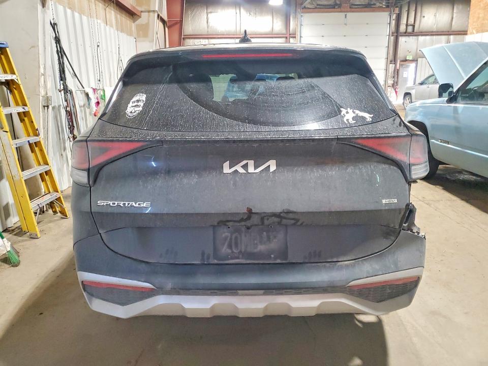 2024 Kia Sportage მანქანა იყიდება აუქციონზე, vin: KNDPUCDG4R7136454, აუქციონის ნომერი: 55456976