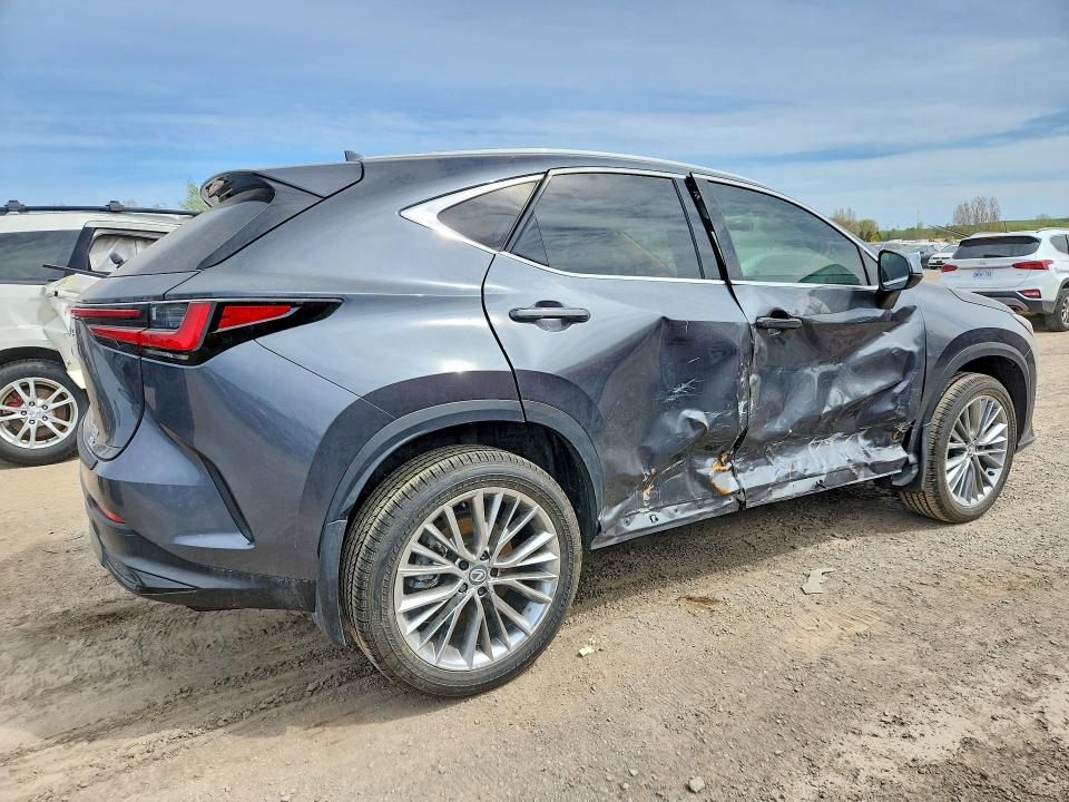 Продажа на аукционе авто 2026 Lexus Nx 350, vin: 2T2GGCEZ8TC096887, номер лота: 53166436