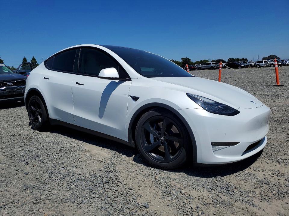 51909806 :رقم المزاد ، 5YJYGAEE2MF305757 vin ، 2021 Tesla Model Y مزاد بيع