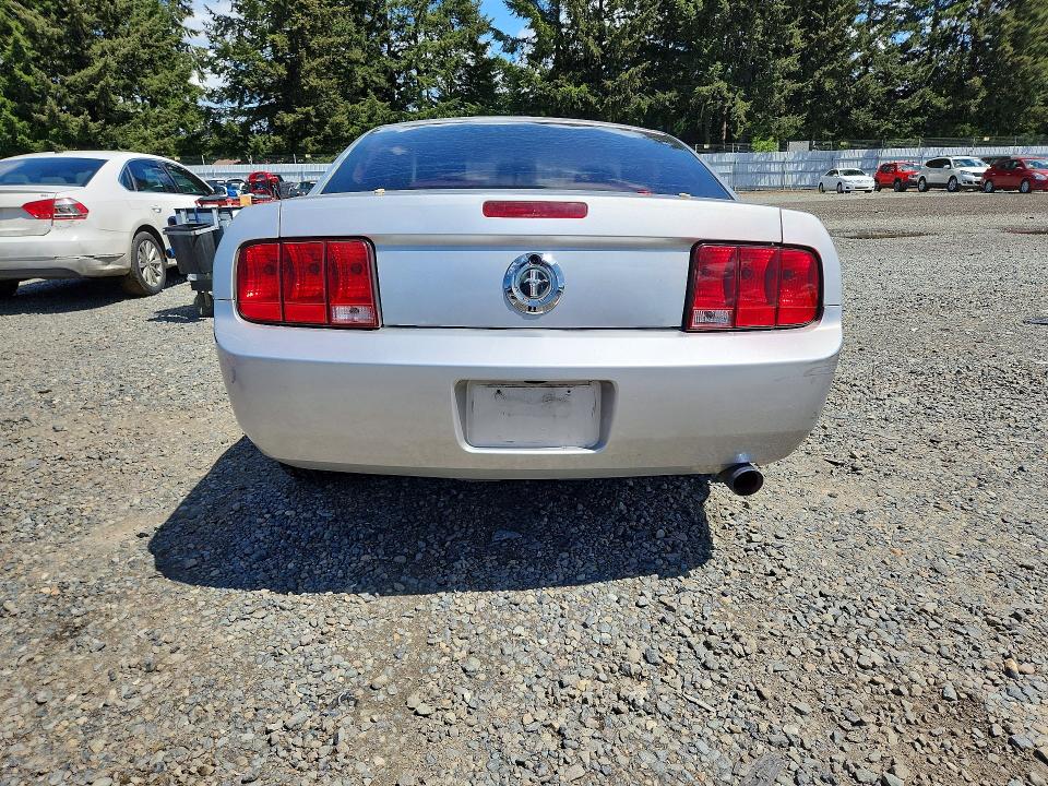 53039416 :رقم المزاد ، 1ZVHT80N295100330 vin ، 2009 Ford Mustang مزاد بيع