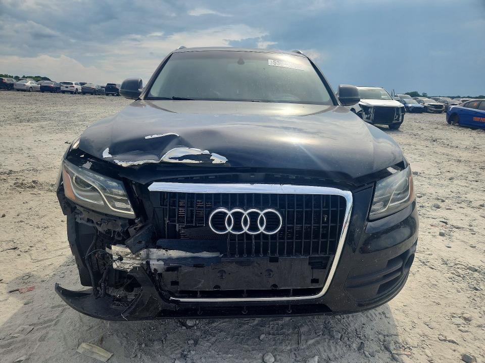 Auction sale of the 2010 Audi Q5, vin: WA1LKAFP8AA016812, lot number: 53950546