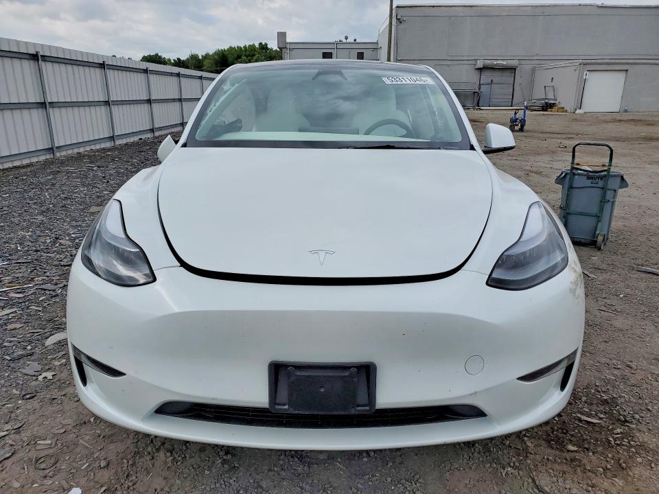 Продаж на аукціоні авто 2024 Tesla Model Y, vin: 7SAYGDED8RF086824, номер лоту: 53311046