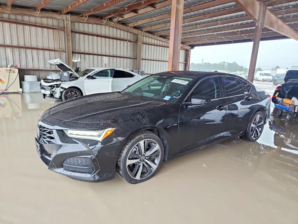 Aukcja sprzedaży 2025 Acura Tlx, vin: 19UUB5F43SA002858, numer aukcji: 51973406