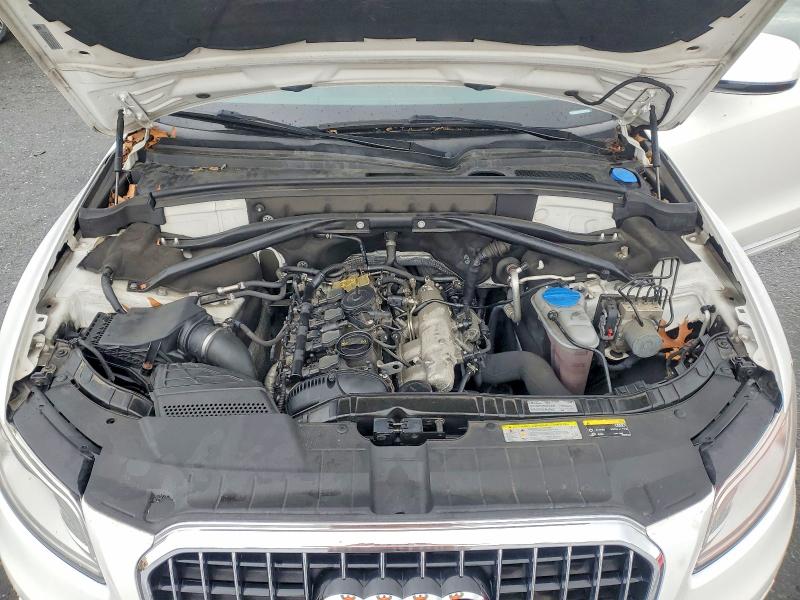 2016 Audi Q5 მანქანა იყიდება აუქციონზე, vin: WA1L2AFP8GA011957, აუქციონის ნომერი: 51916146