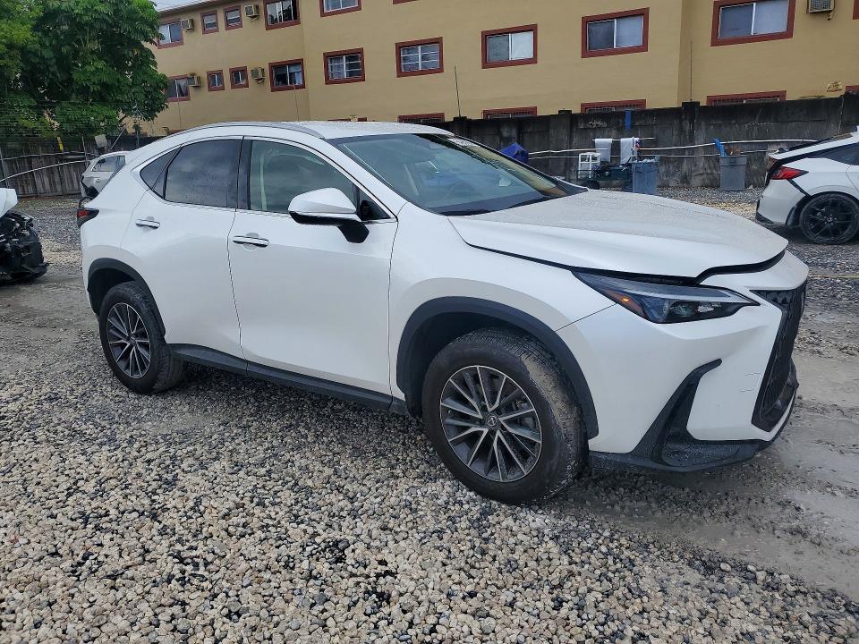2023 Lexus Nx მანქანა იყიდება აუქციონზე, vin: JTJADCAZ9P5010477, აუქციონის ნომერი: 54989656