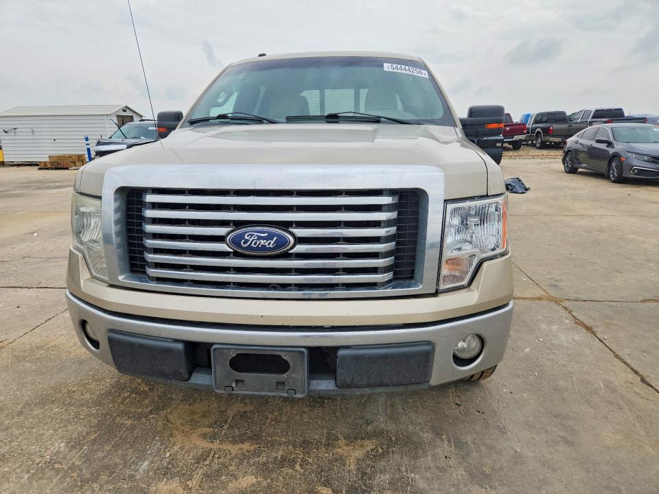 54444256 :رقم المزاد ، 1FTEW1C83AFD86634 vin ، 2010 Ford F150 مزاد بيع