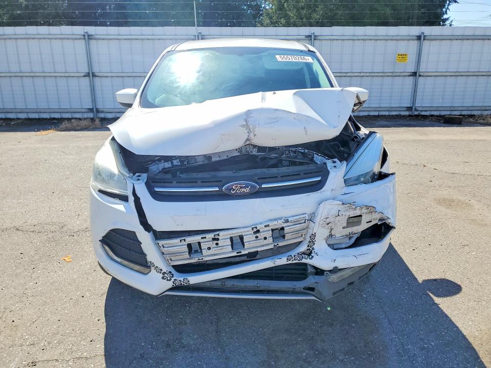 55570286 :رقم المزاد ، 1FMCU0GX4GUC83036 vin ، 2016 Ford Escape مزاد بيع
