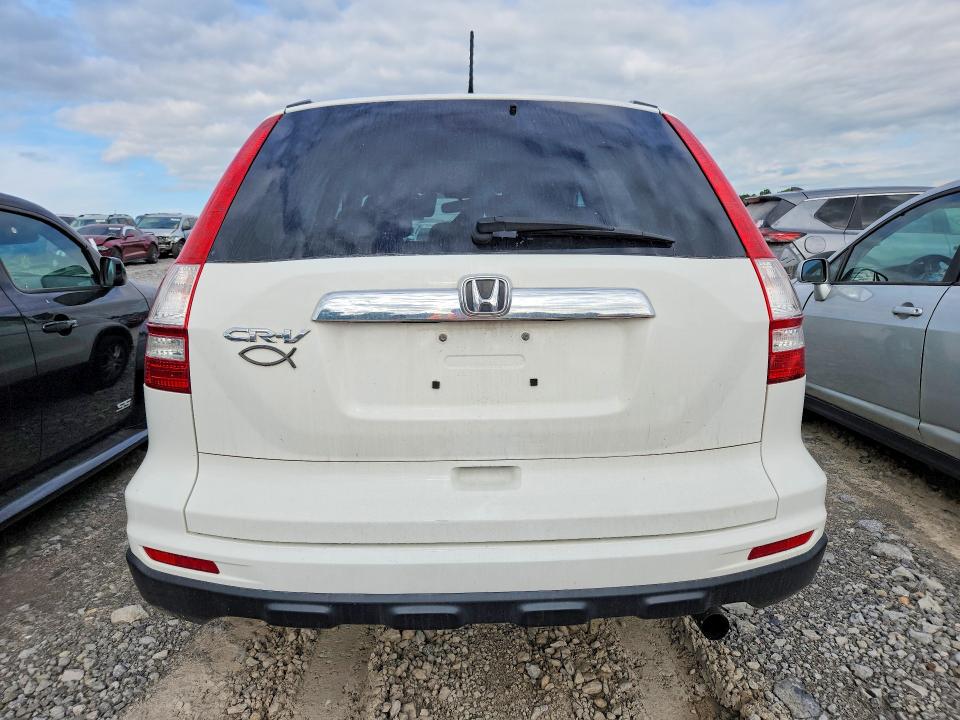 Продаж на аукціоні авто 2010 Honda Cr-v, vin: 5J6RE3H74AL036232, номер лоту: 52480066