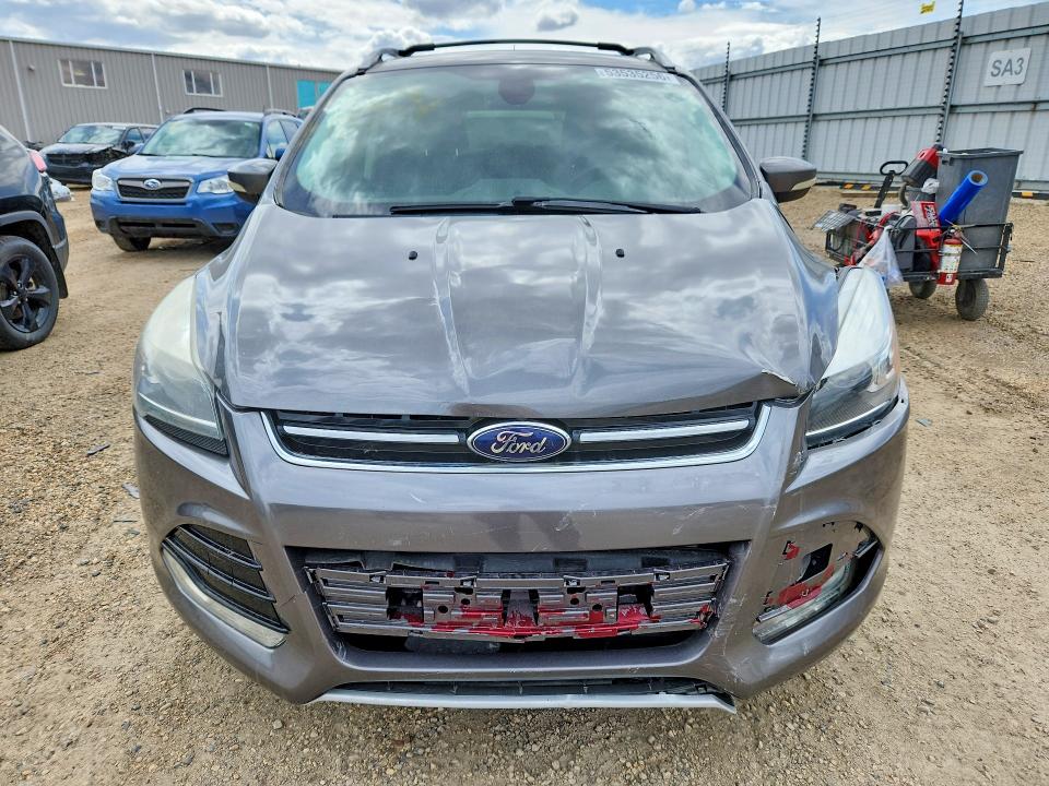 Auction sale of the 2013 Ford Escape, vin: 1FMCU9J98DUA42963, lot number: 53535256