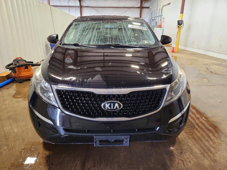53703696 :رقم المزاد ، KNDPBCAC8G7835381 vin ، 2016 Kia Sportage مزاد بيع