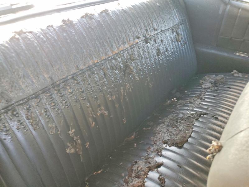 54294796 :رقم المزاد ، 1H57J2K555013 vin ، 1972 Chevrolet Montecarlo مزاد بيع