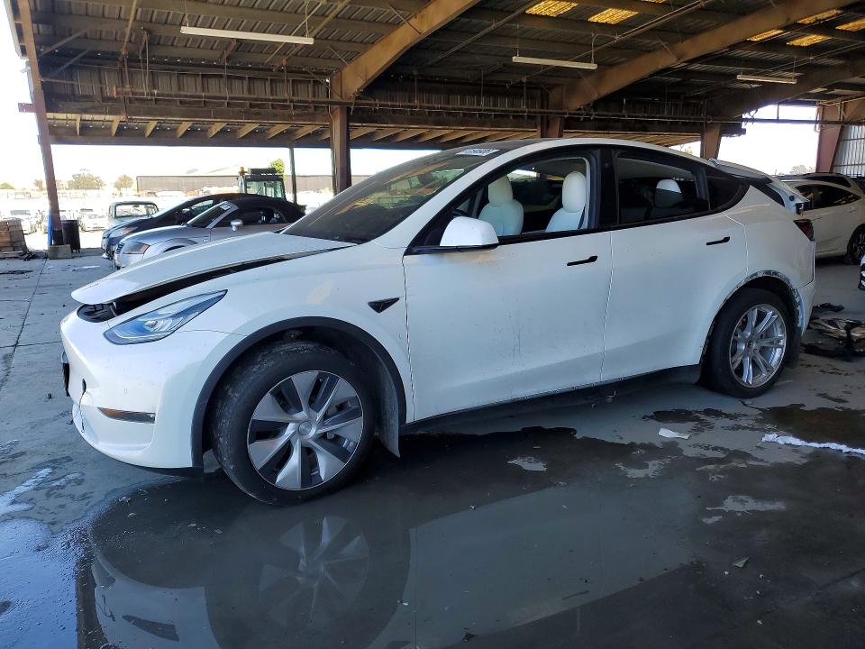 53596986 :رقم المزاد ، 5YJYGDEE0MF240506 vin ، 2021 Tesla Model Y مزاد بيع