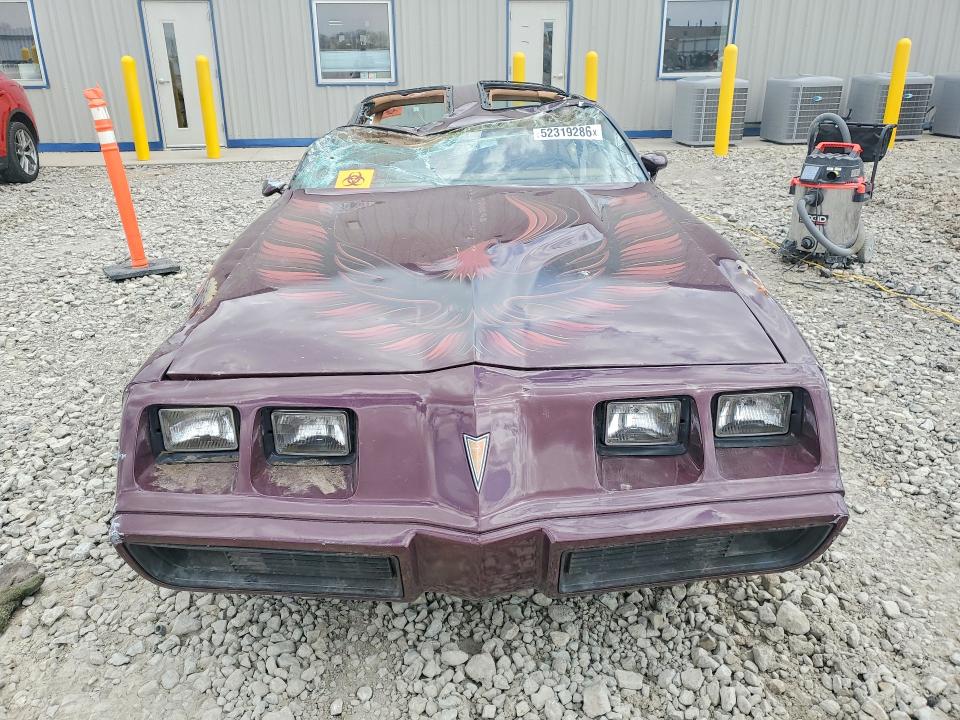 Продаж на аукціоні авто 1981 Pontiac Uk, vin: 2W87TAN136020, номер лоту: 52319286