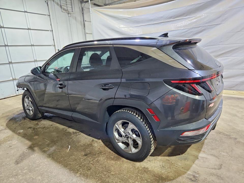 Auction sale of the 2023 Hyundai Tucson, vin: 5NMJBCAE5PH253948, lot number: 53372326