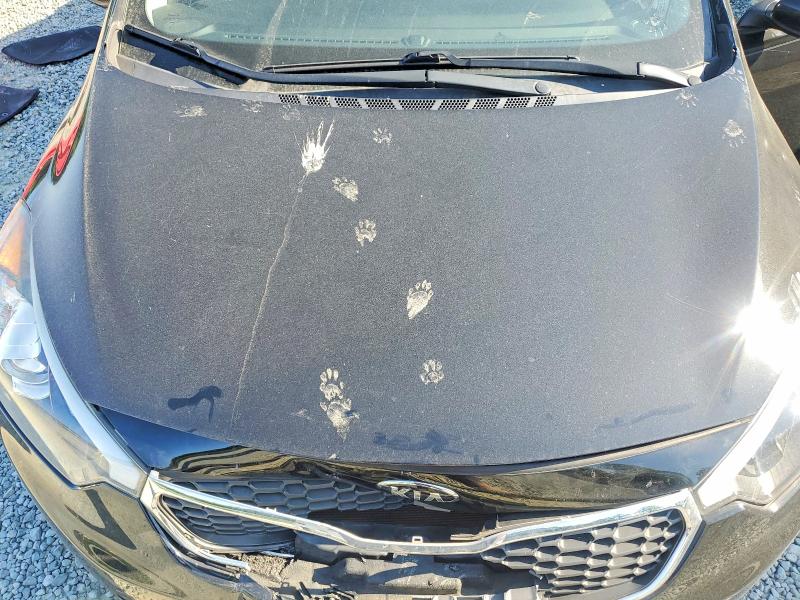 2016 Kia Forte მანქანა იყიდება აუქციონზე, vin: KNAFK4A65G5536483, აუქციონის ნომერი: 54140736