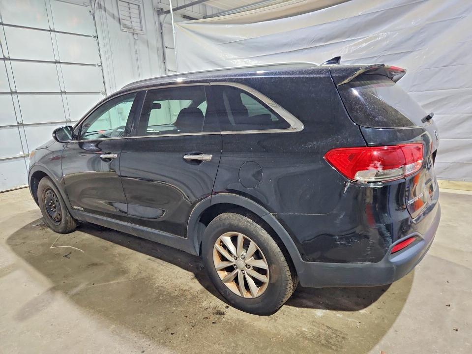 54492746 :رقم المزاد ، 5XYPGDA5XGG084392 vin ، 2016 Kia Sorento مزاد بيع