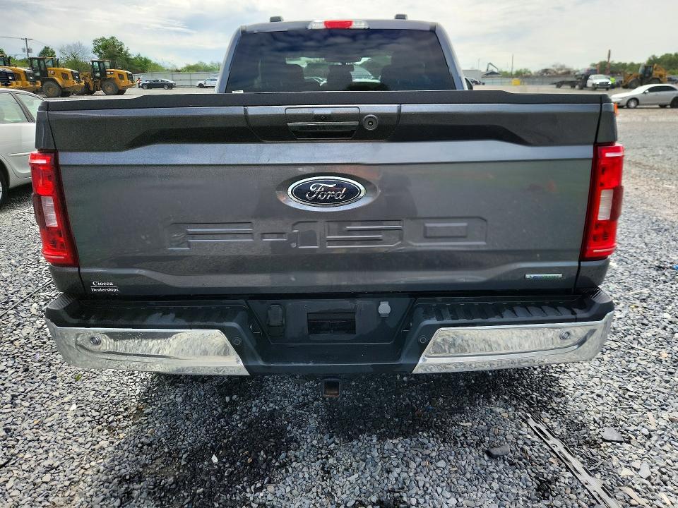 Продаж на аукціоні авто 2023 Ford F150, vin: 1FTEX1EP7PFA98075, номер лоту: 54526116