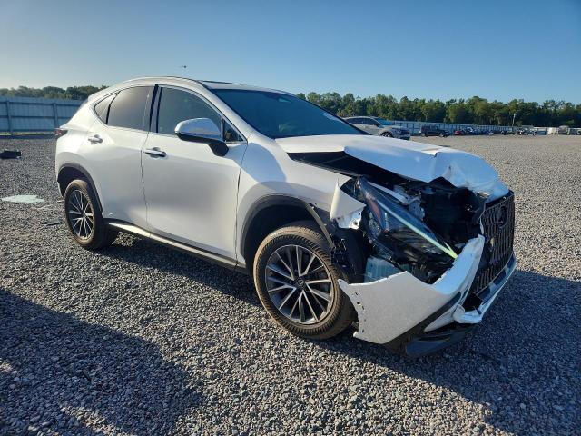 Продаж на аукціоні авто 2023 Lexus Nx, vin: JTJGDCAZXP5010322, номер лоту: 54172376