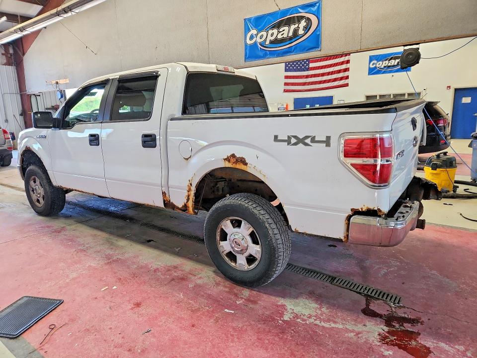 54627266 :رقم المزاد ، 1FTFW1EF5EFA31986 vin ، 2014 Ford F150 مزاد بيع