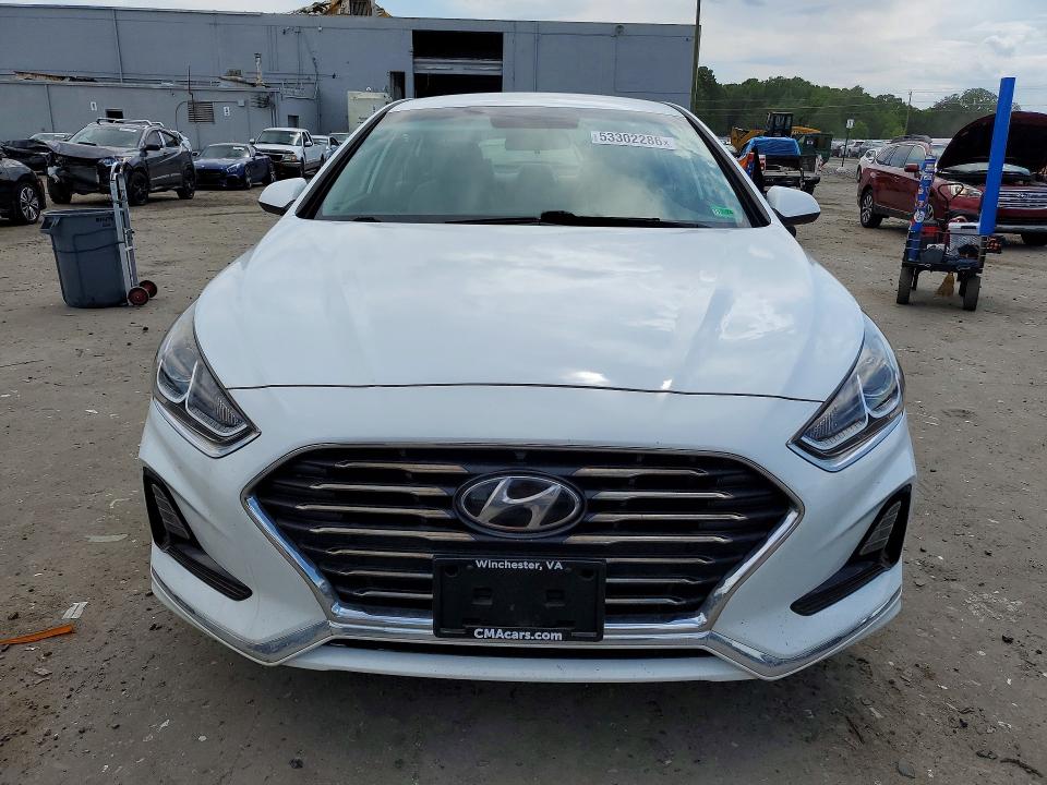 53302286 :رقم المزاد ، 5NPE24AF8KH782354 vin ، 2019 Hyundai Sonata مزاد بيع