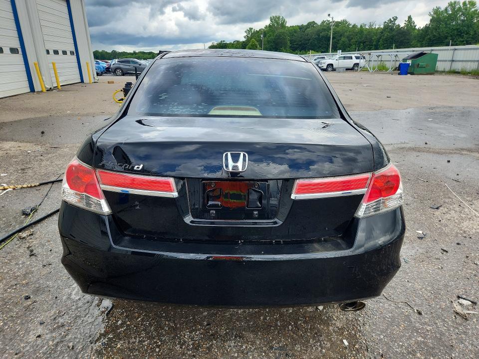 55531816 :رقم المزاد ، 1HGCP2F37BA116350 vin ، 2011 Honda Accord مزاد بيع