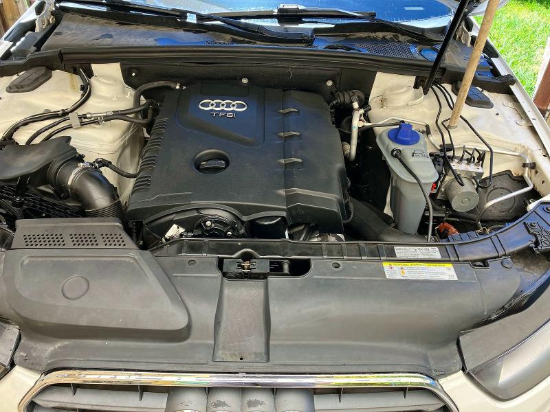 Aukcja sprzedaży 2013 Audi A4, vin: WAUAFAFL8DA196602, numer aukcji: 53982796