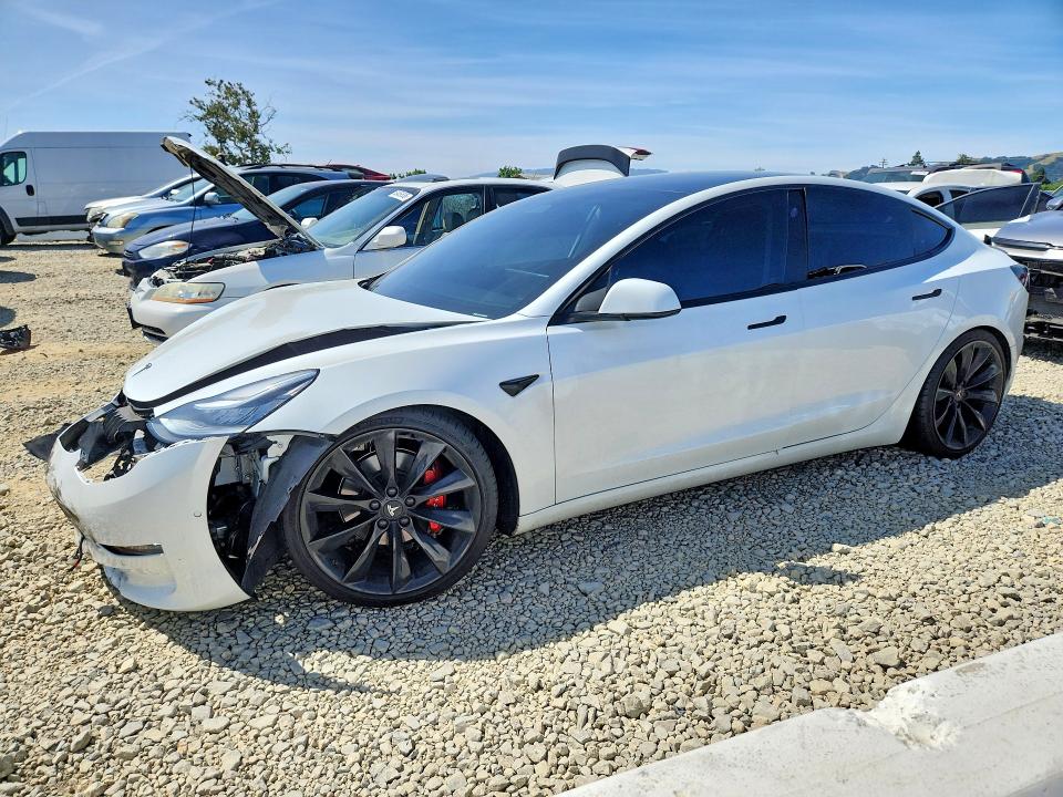 53783216 :رقم المزاد ، 5YJ3E1EAXKF316872 vin ، 2019 Tesla Model 3 مزاد بيع
