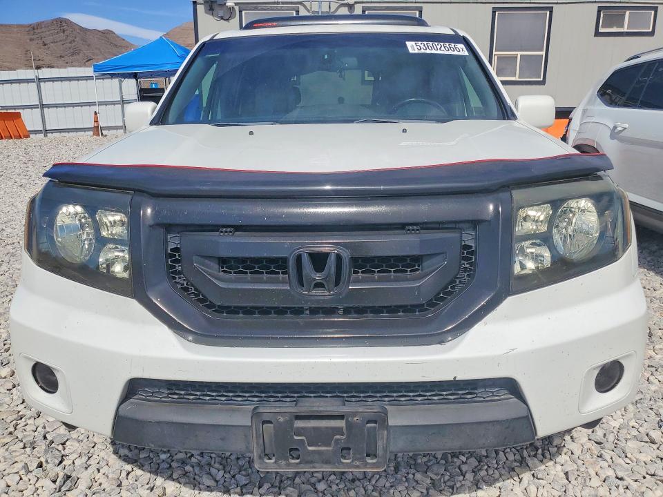 Продаж на аукціоні авто 2010 Honda Pilot, vin: 5FNYF4H97AB030692, номер лоту: 53602666