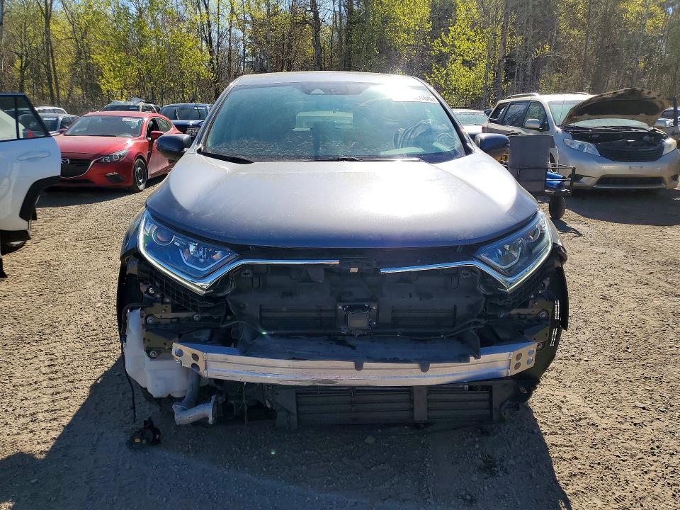 53282466 :رقم المزاد ، 2HKRW2H51KH126293 vin ، 2019 Honda Cr-v مزاد بيع