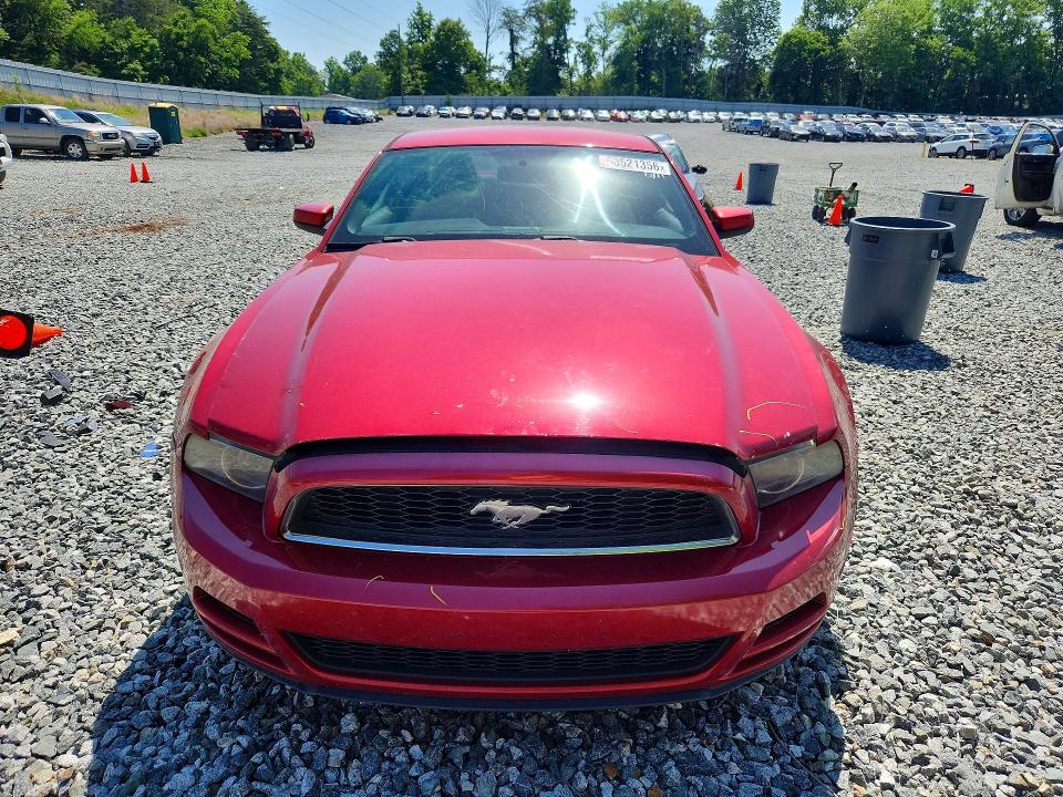Продажа на аукционе авто 2013 Ford Mustang, vin: 1ZVBP8AM4D5204309, номер лота: 53521356