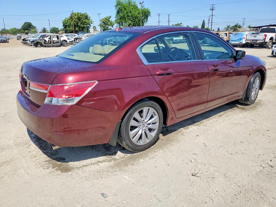 Продаж на аукціоні авто 2011 Honda Accord, vin: 1HGCP2F85BA117248, номер лоту: 53849596