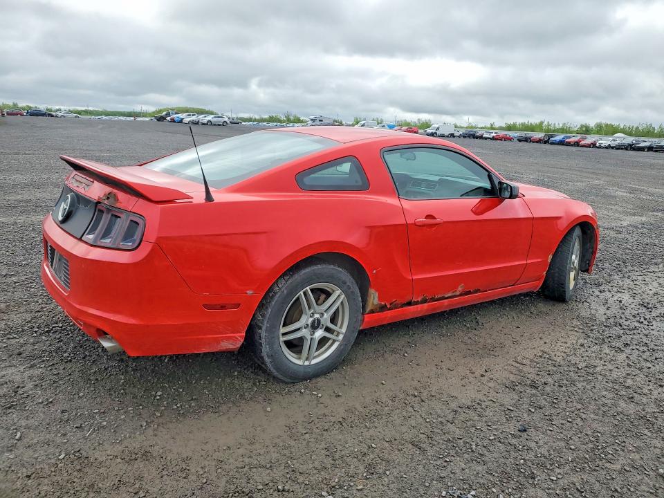 Aukcja sprzedaży 2014 Ford Mustang, vin: 1ZVBP8AM8E5244250, numer aukcji: 55000566