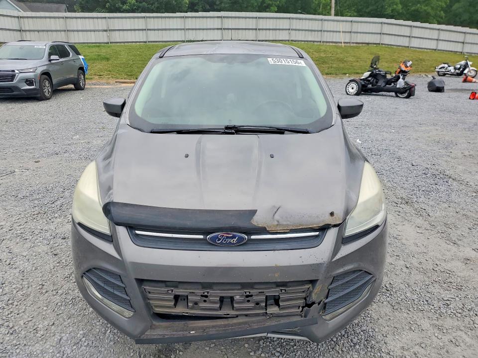 Продаж на аукціоні авто 2014 Ford Escape, vin: 1FMCU0GX5EUC06866, номер лоту: 53015156