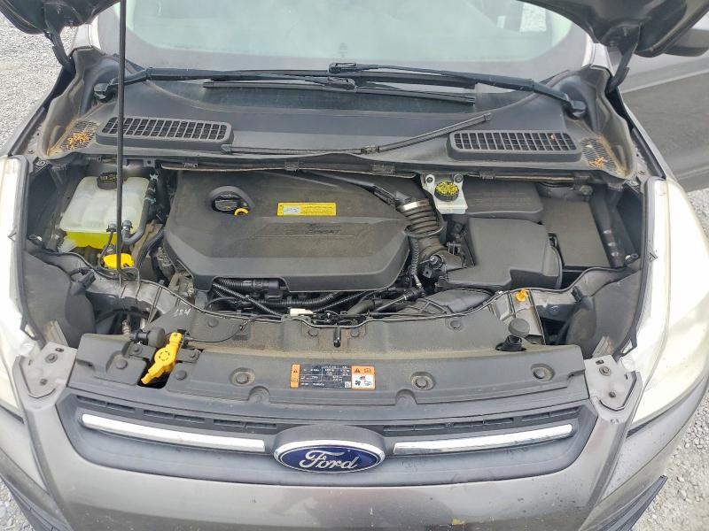 Продаж на аукціоні авто 2014 Ford Escape, vin: 1FMCU0GX5EUC06866, номер лоту: 53015156