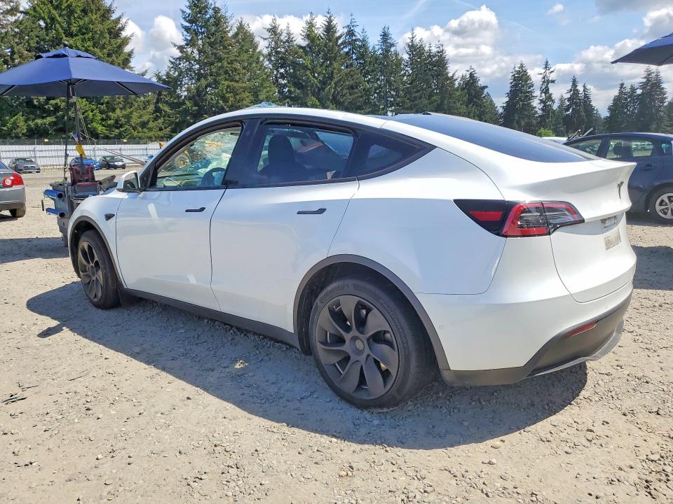 Aukcja sprzedaży 2023 Tesla Model Y, vin: 7SAYGDEE5PF587028, numer aukcji: 54088236