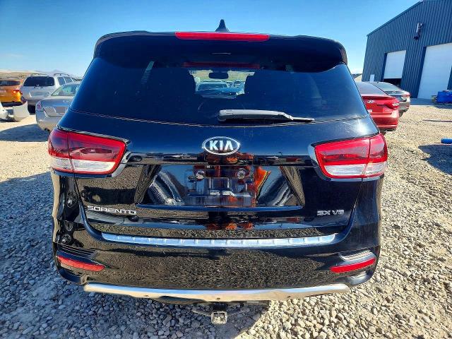 51796146 :رقم المزاد ، 5XYPKDA55GG069586 vin ، 2016 Kia Sorento مزاد بيع