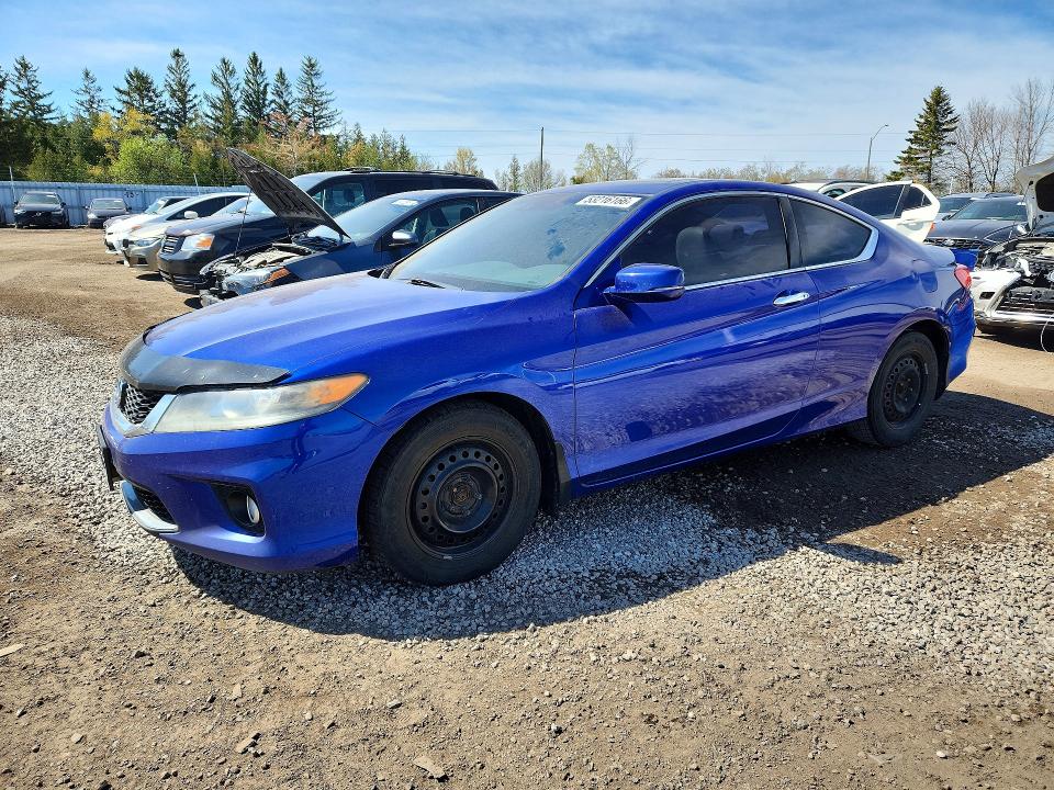 53216166 :رقم المزاد ، 1HGCT1B87DA800924 vin ، 2013 Honda Accord مزاد بيع