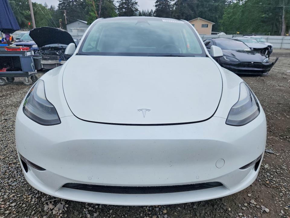 Продаж на аукціоні авто 2022 Tesla Model Y, vin: 7SAYGDEFXNF539899, номер лоту: 53772946