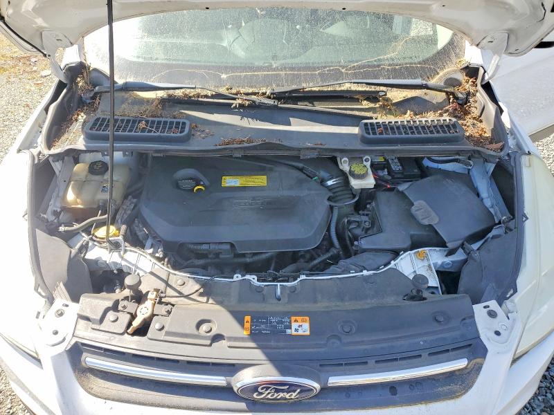 Продажа на аукционе авто 2013 Ford Escape, vin: 1FMCU9GX1DUB56356, номер лота: 52238566
