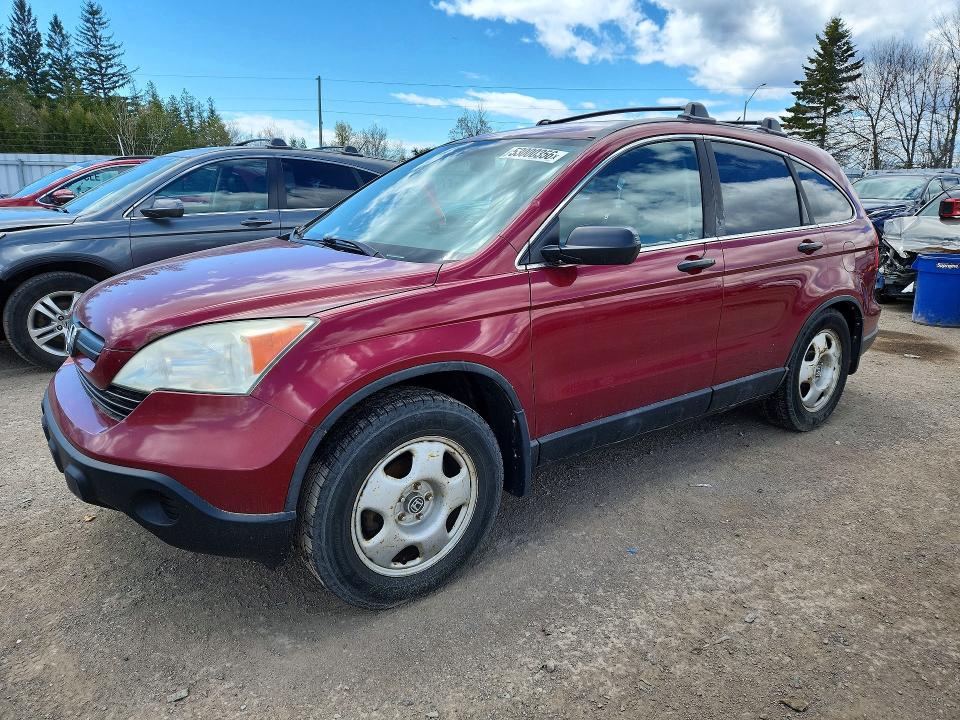 Продаж на аукціоні авто 2009 Honda Cr-v, vin: 5J6RE38349L801304, номер лоту: 53000356