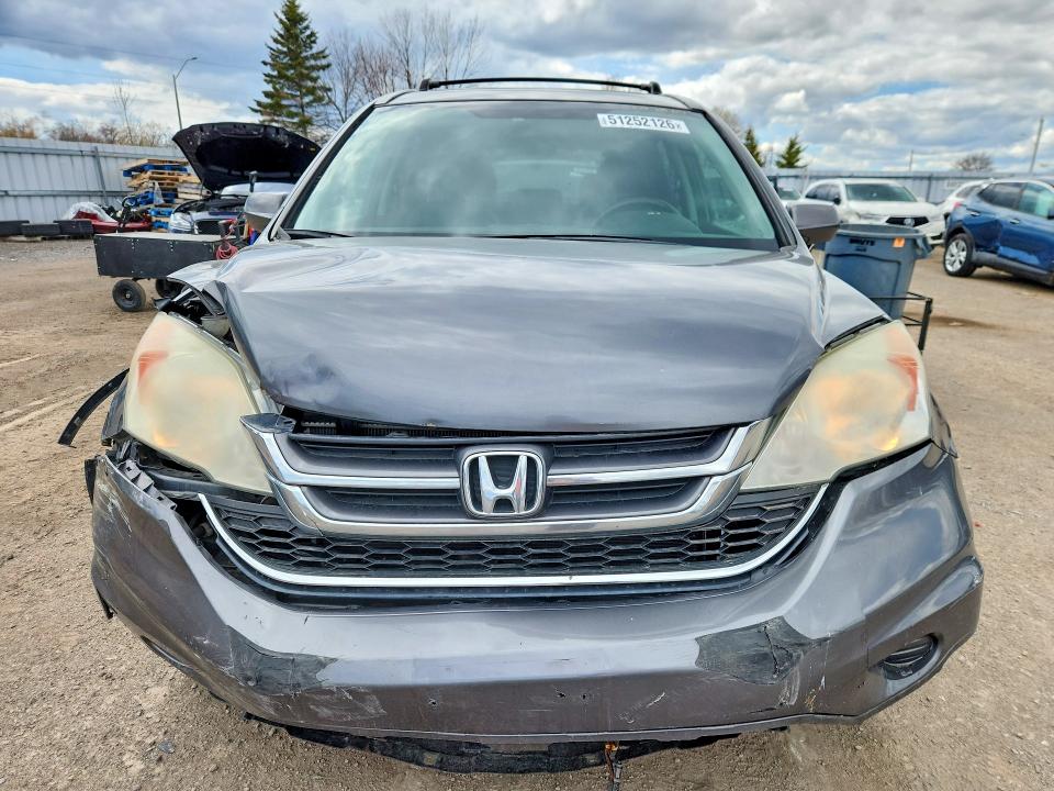 51252126 :رقم المزاد ، 5J6RE4H72AL813917 vin ، 2010 Honda Cr-v مزاد بيع