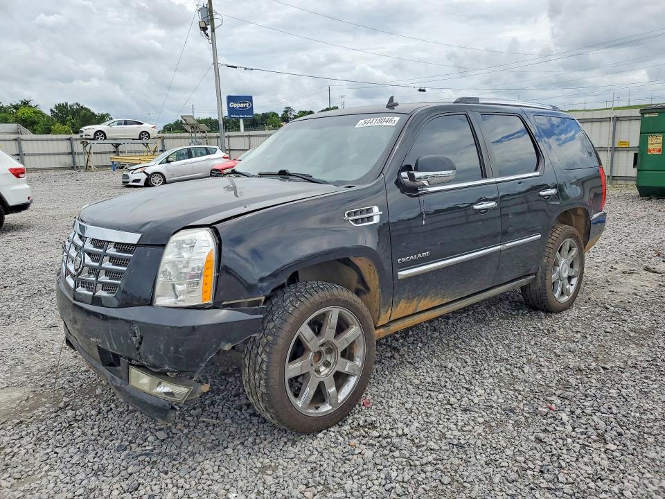 Продажа на аукционе авто 2010 Cadillac Escalade, vin: 1GYUCCEF1AR195413, номер лота: 54418046