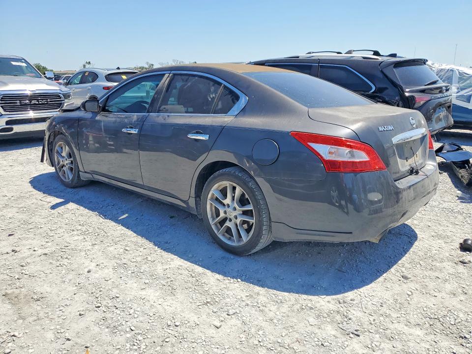 Продаж на аукціоні авто 2010 Nissan Maxima, vin: 1N4AA5AP9AC812252, номер лоту: 53817546
