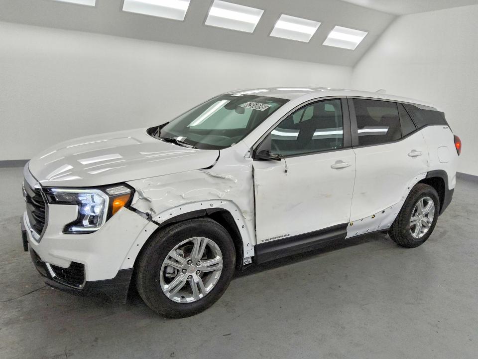 Продажа на аукционе авто 2024 Gmc Terrain, vin: 3GKALMEG7RL296051, номер лота: 52950696