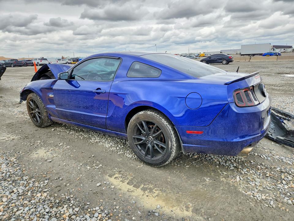 Продажа на аукционе авто 2013 Ford Mustang, vin: 1ZVBP8CF4D5269062, номер лота: 53920056