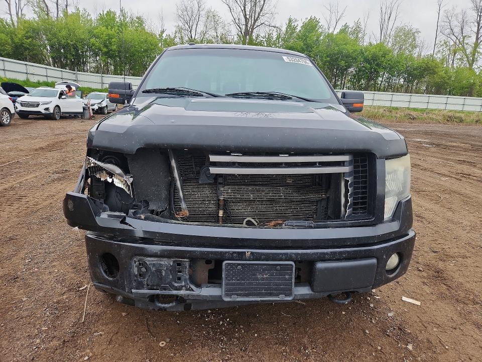 53204706 :رقم المزاد ، 1FTFW1EF0CFA46568 vin ، 2012 Ford F150 مزاد بيع