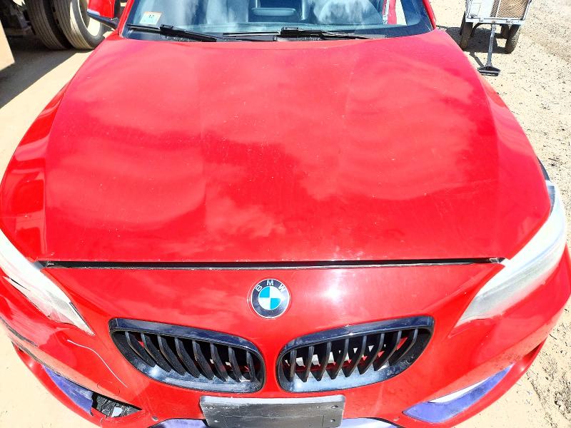 Продаж на аукціоні авто 2016 Bmw 228, vin: WBA1G9C5XGV599026, номер лоту: 51345756